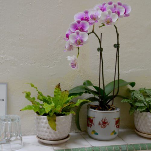 Ground Floor Suite Pic 8